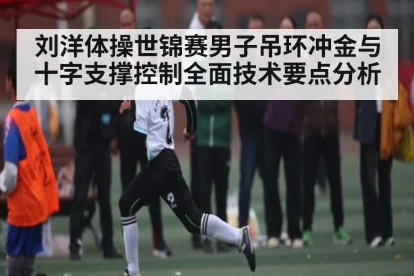 刘洋体操世锦赛男子吊环冲金与十字支撑控制全面技术要点分析 | kaiyun